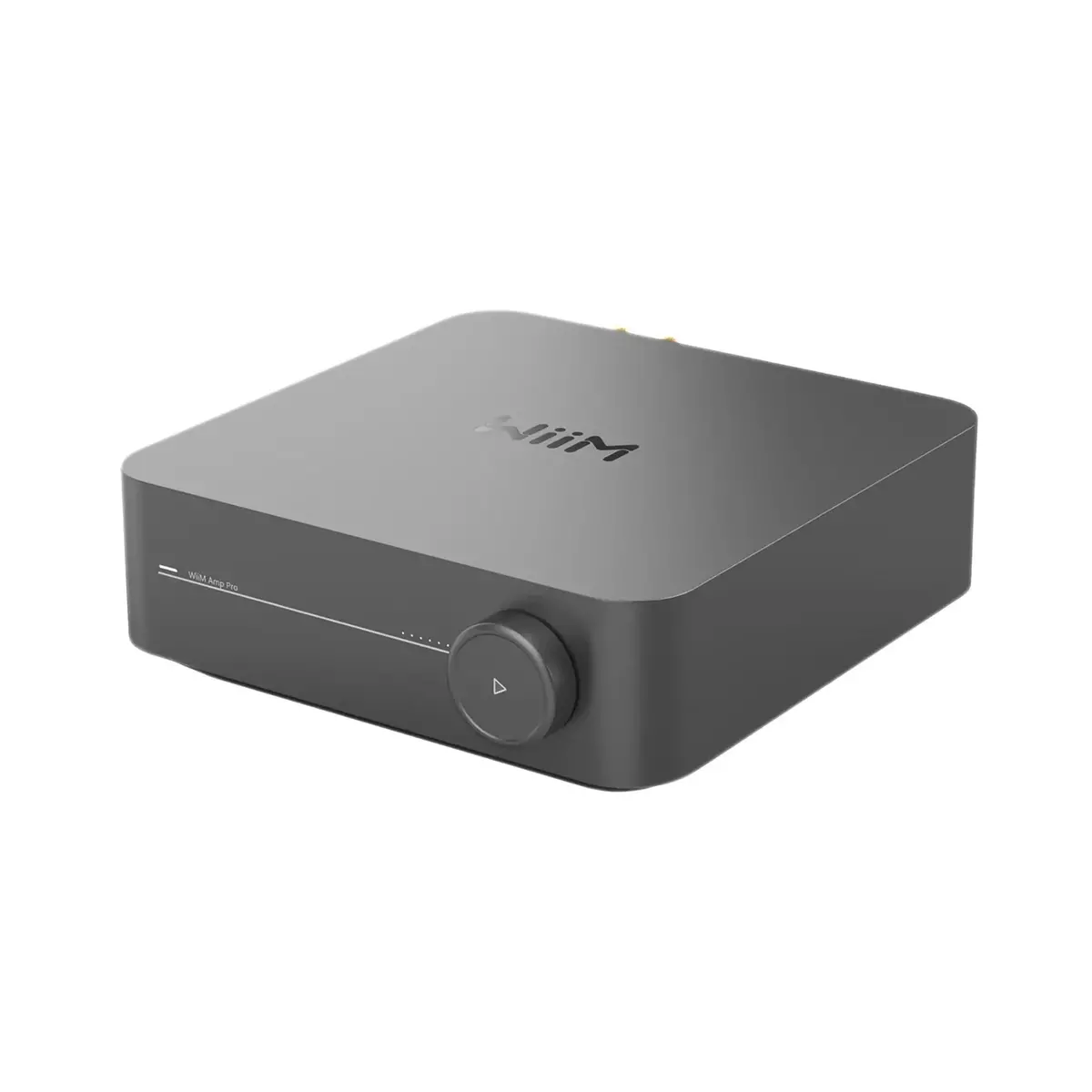 Wiim Amp Pro Network Streaming Amplifier 1