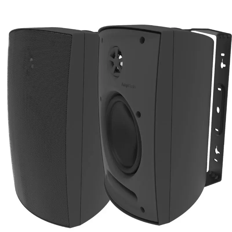 Adept Audio 1060 Indoor/ Outdoor Speakers 1