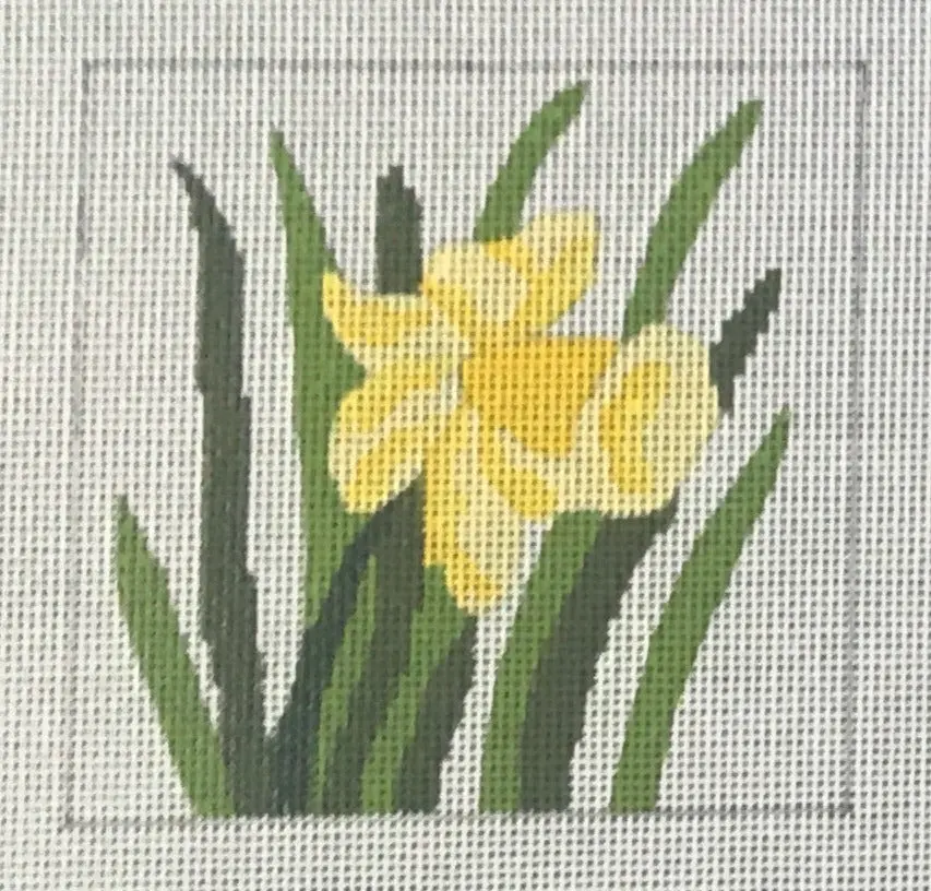Ctr106 Daffodil Coaster 1