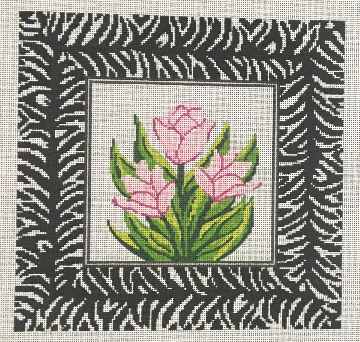 Pil241 Zebra Tulips 1