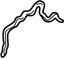 1992-2002 Mazda V6 Timing Cover Gasket Kl01-10-533B 1