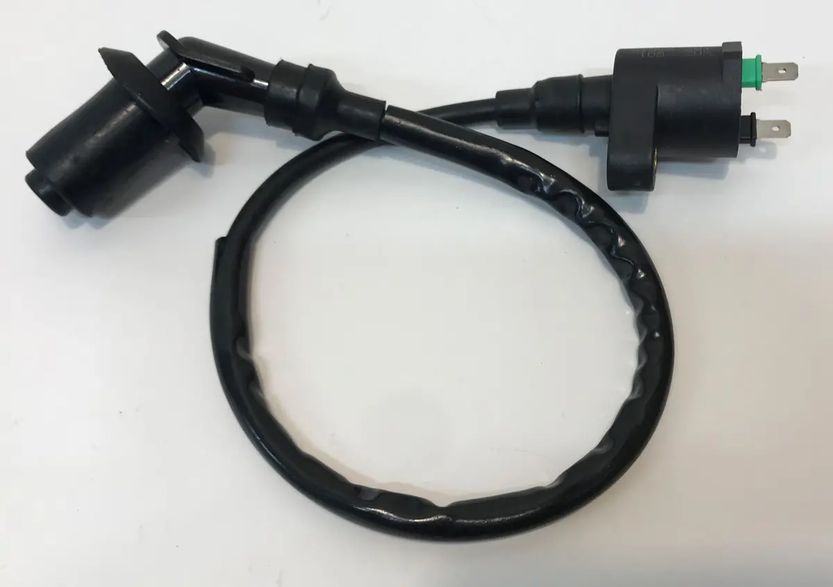 6000125150G000 | Ignition Coil | Sxs300 1