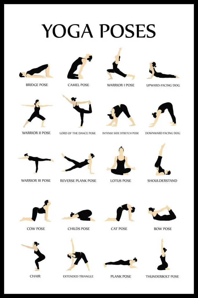 Laminated Workout Posters For Home Gym Yoga Poses 1