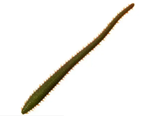 Berkley Gulp! 6" Camo Sandworm  10Ct 1