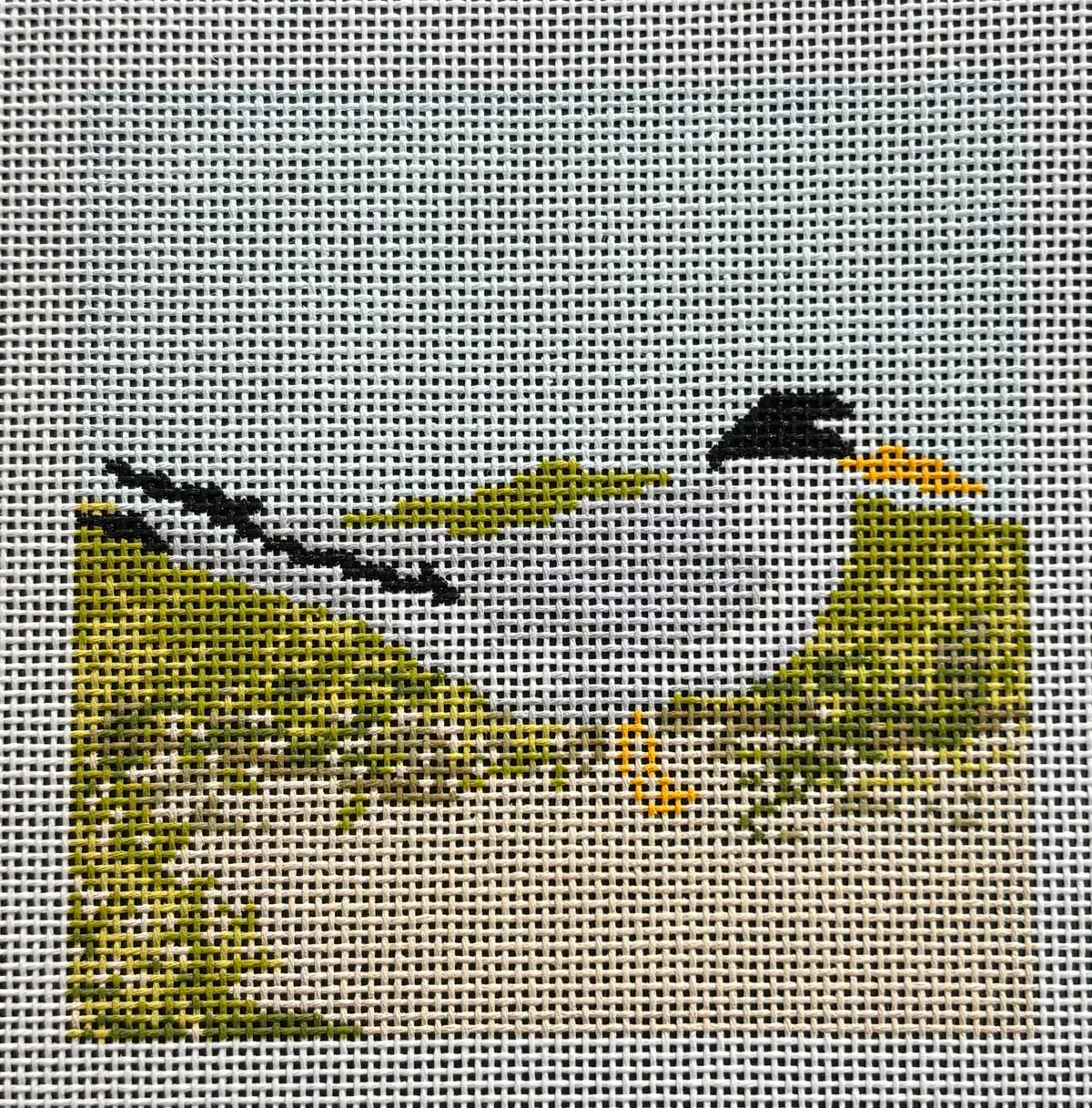 Aok149 Least Tern 1