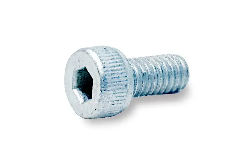 D.30 Economy Old Style Caliper Bleed Screw 1