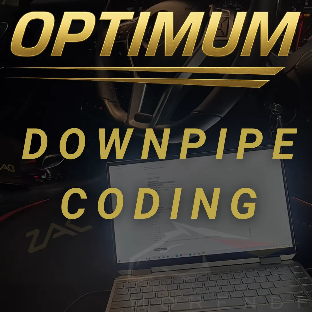 Downpipe Cel Deactivation (Remote) 1