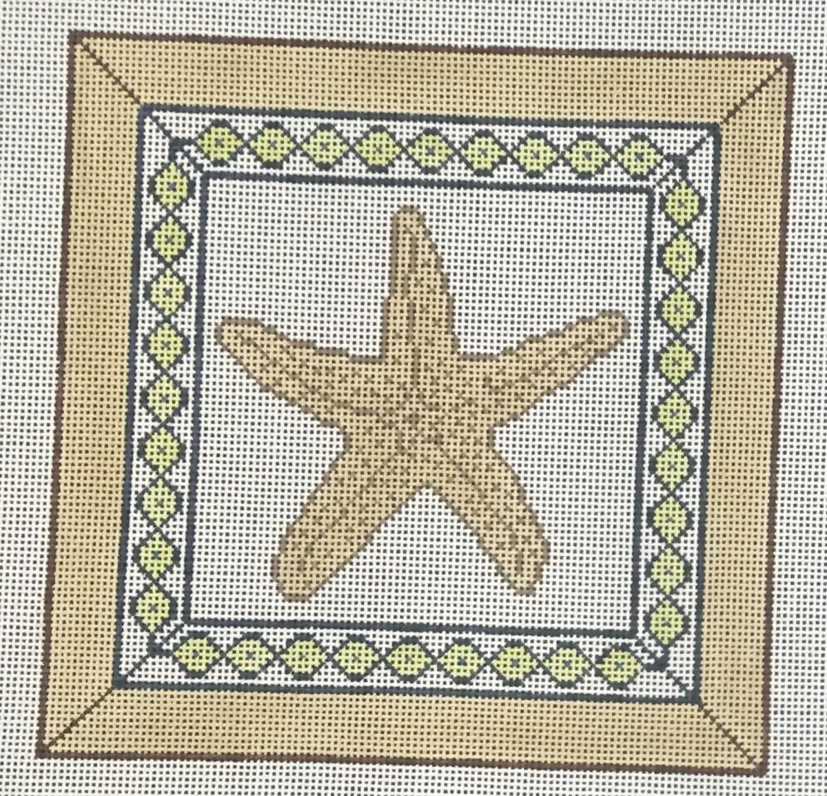 Pil257 Starfish 1
