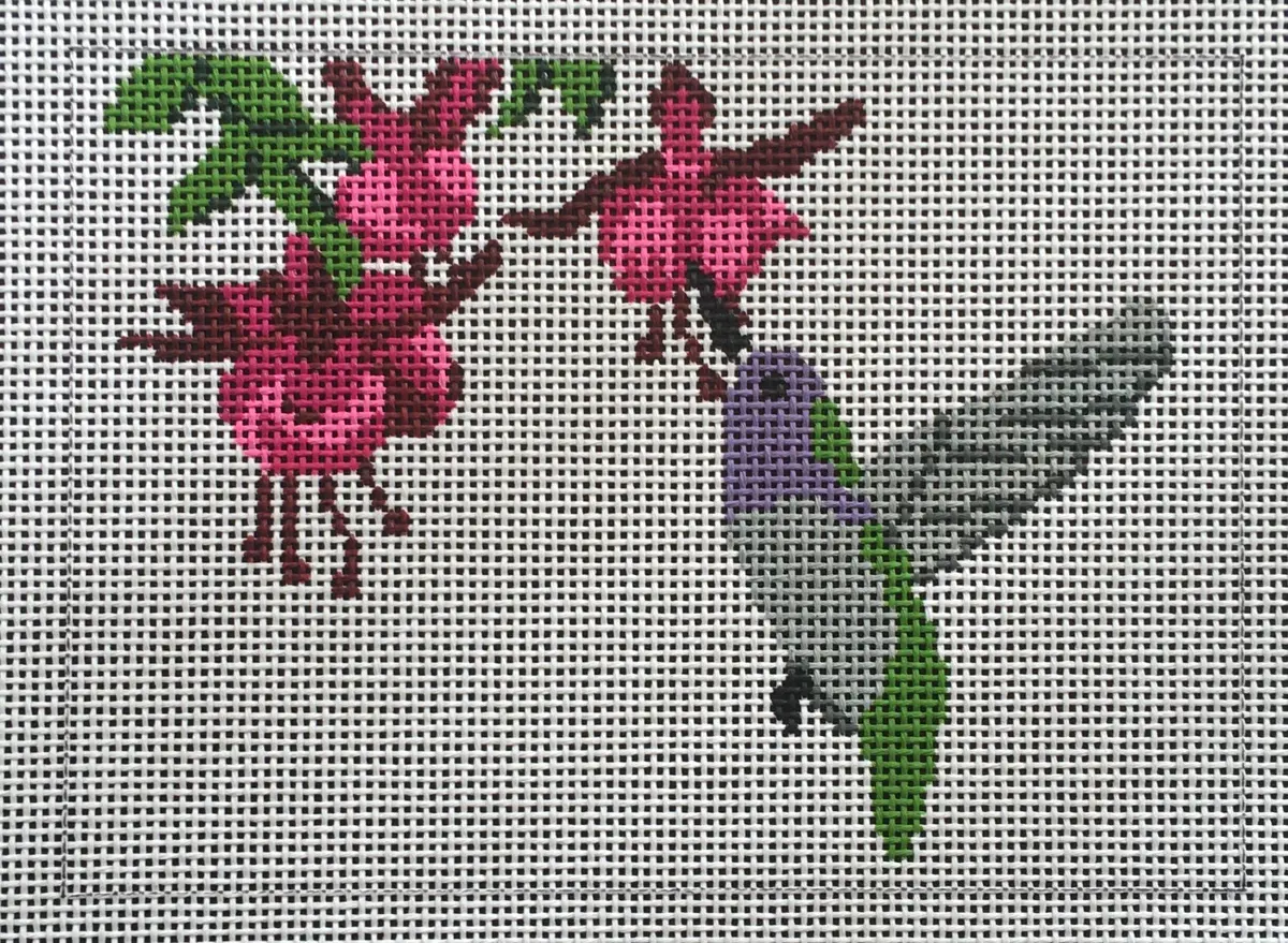 Pil264 Hummingbird 1