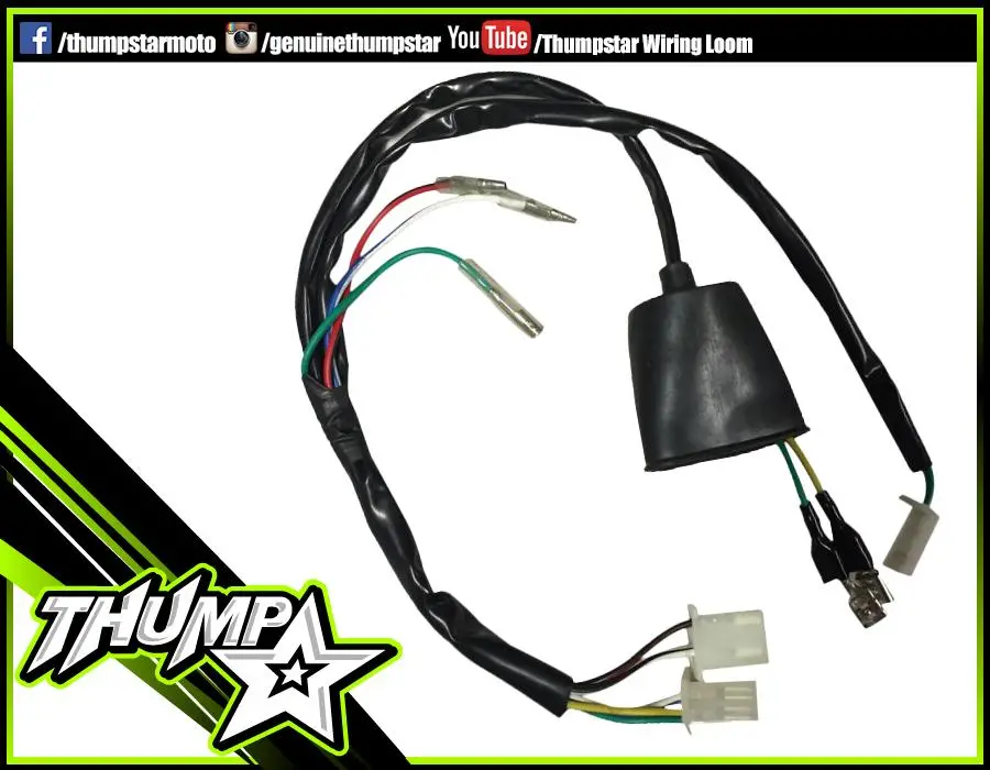 7355 | Wiring Loom | 2 Plug/5 Pin Cdi | Splayed Wires 1