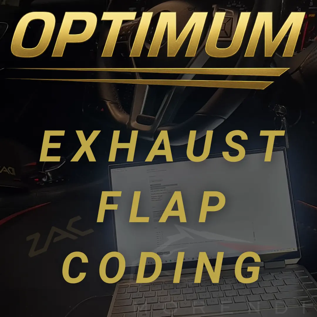 Exhaust Valve Deactivation (Remote) 1