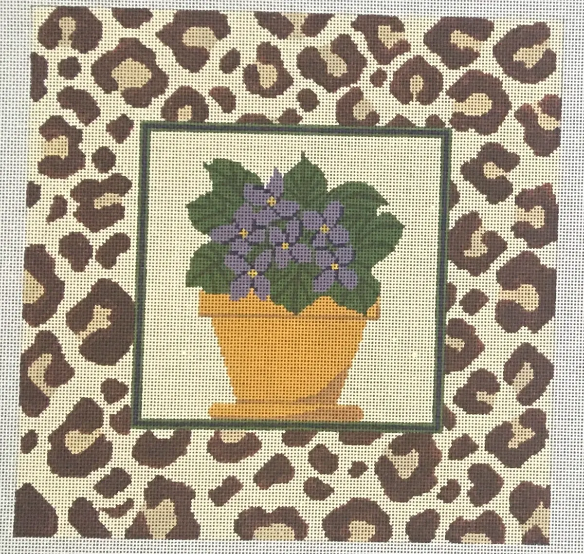 Pil236 African Violet 1