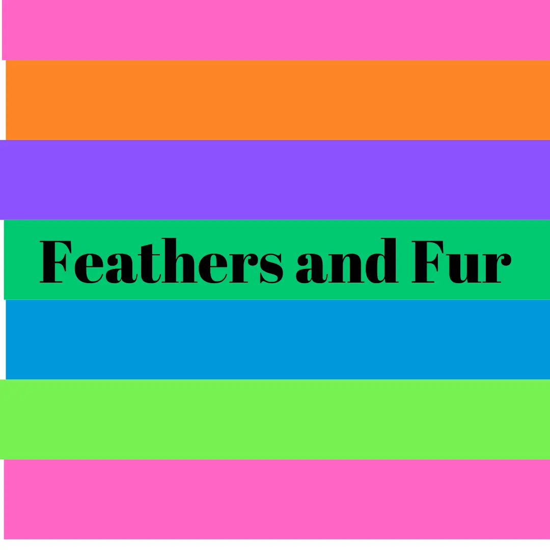 Feathers And Fur Recorded Class 1