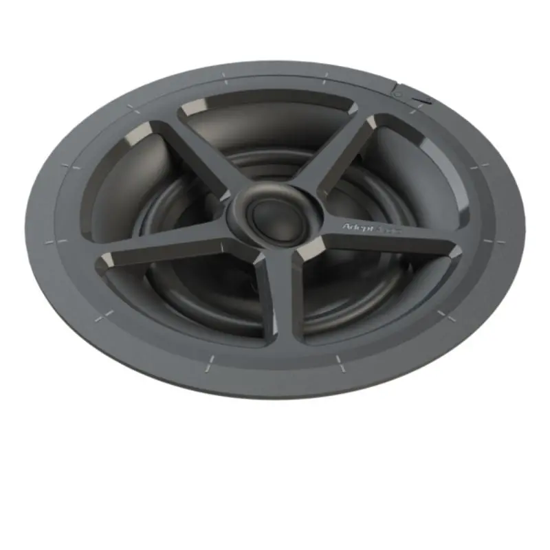 Adept Audio Ic62 In-Ceiling Speaker 1