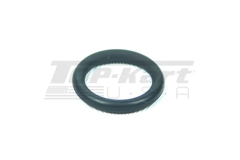 Mini Master Cylinder O-Ring D.19 1