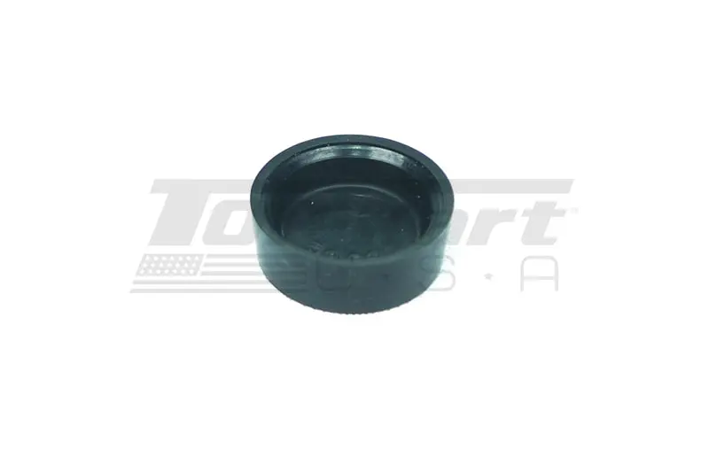 Mini Master Cylinder Pump Seal D.19 1