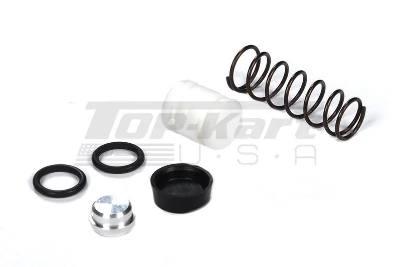 2013 Mini Master Cylinder Rebuild Kit 1