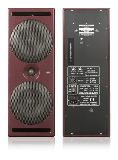 Psi Audio A214-M 1