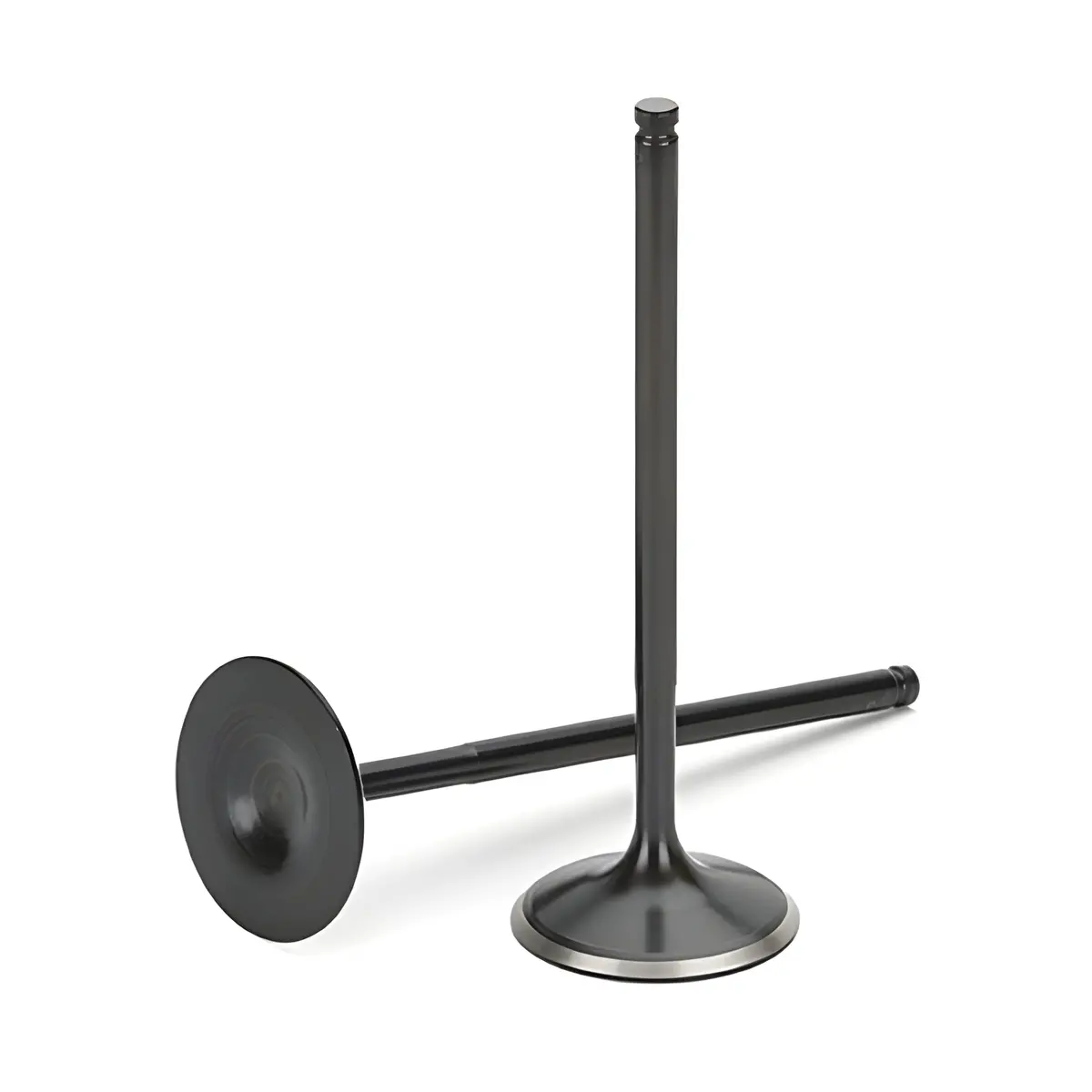 Supertech Honda B16a/B18c Black Nitride Intake Valve Set 1