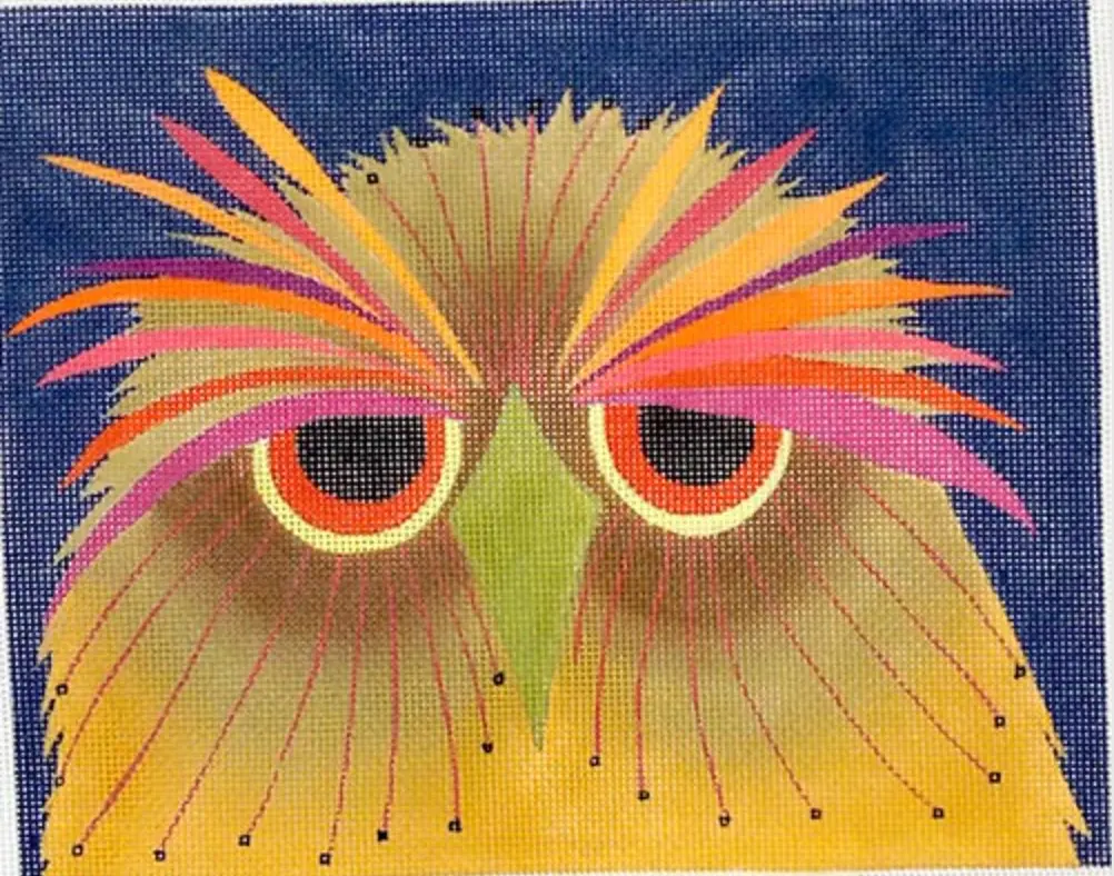 Ze570 Screech Owl 1