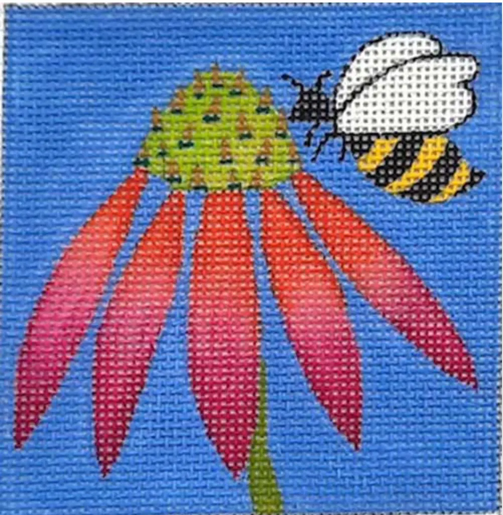 Ze732 Echinacea Square 1