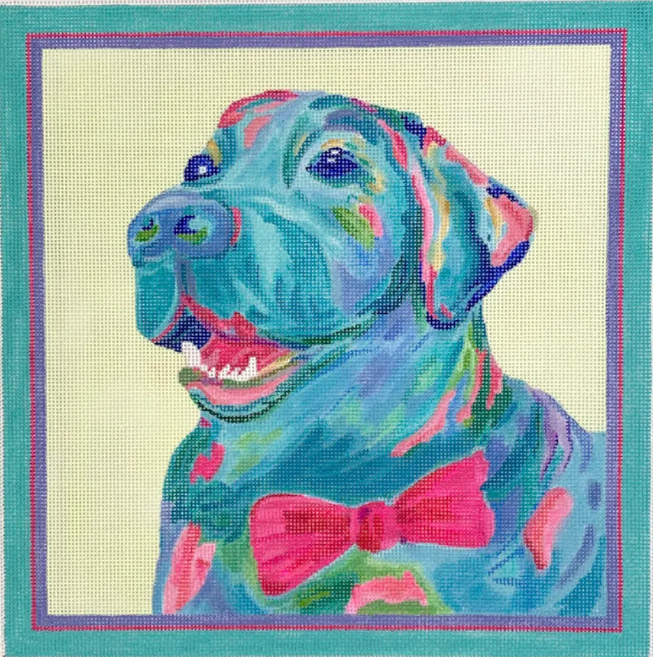 Mc-Pl-11 Blue Lab With Hot Pink Bowtie 1