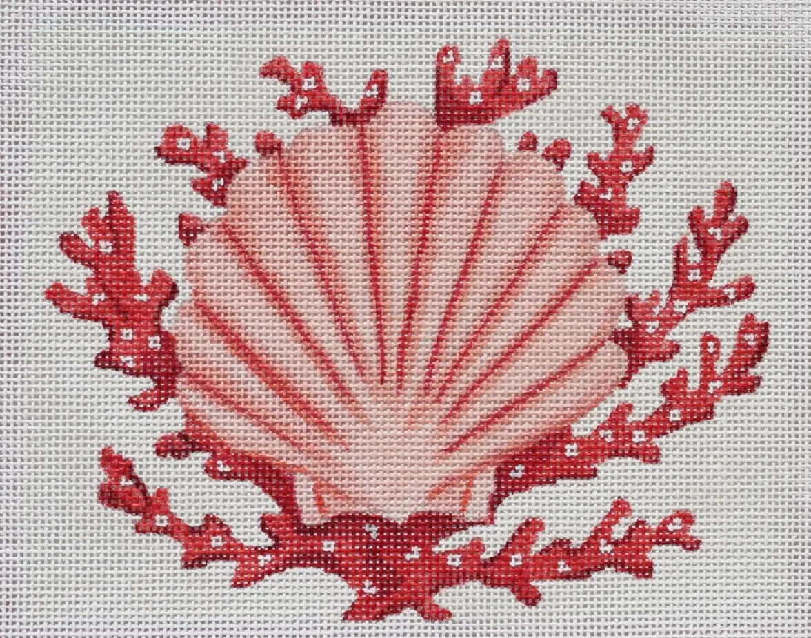 Pl-50 Scallop Shell With Coral 1