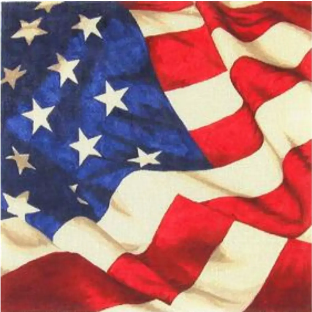 P24 Old Glory (Large) 1