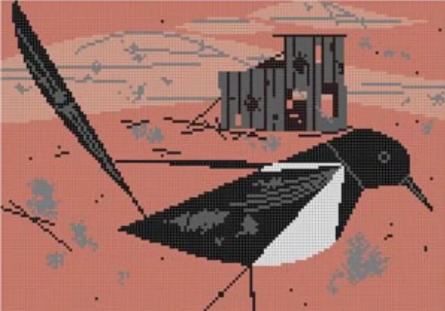 Hc-B281 Black Billed Magpie 1