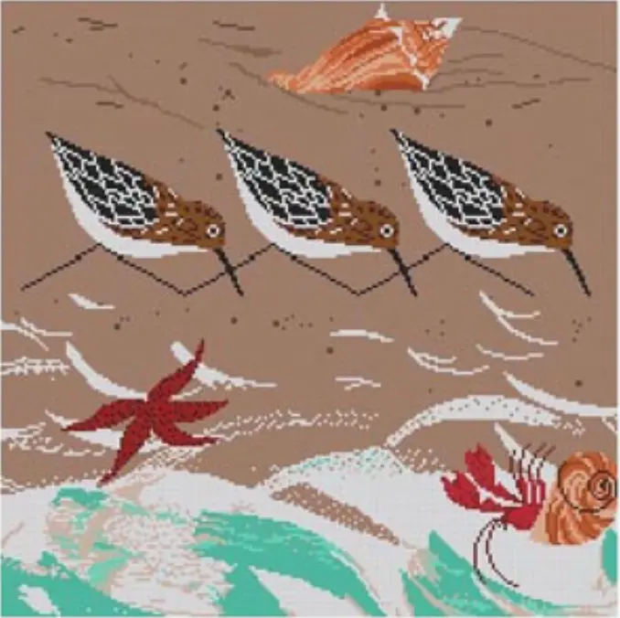 Hc-B302 Beach Birds 1