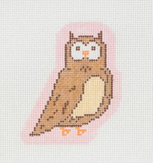 Gp16 Little Brown Owl 1