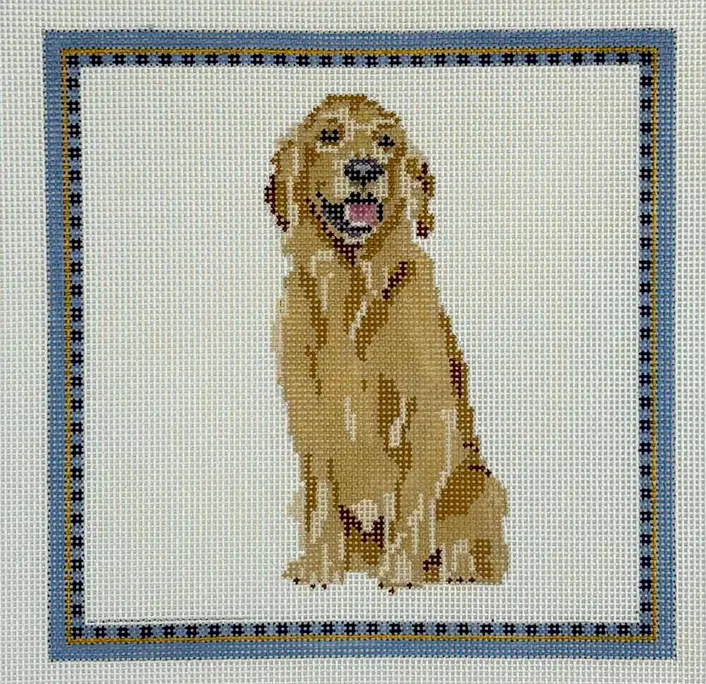 D1 Golden Retriever 1