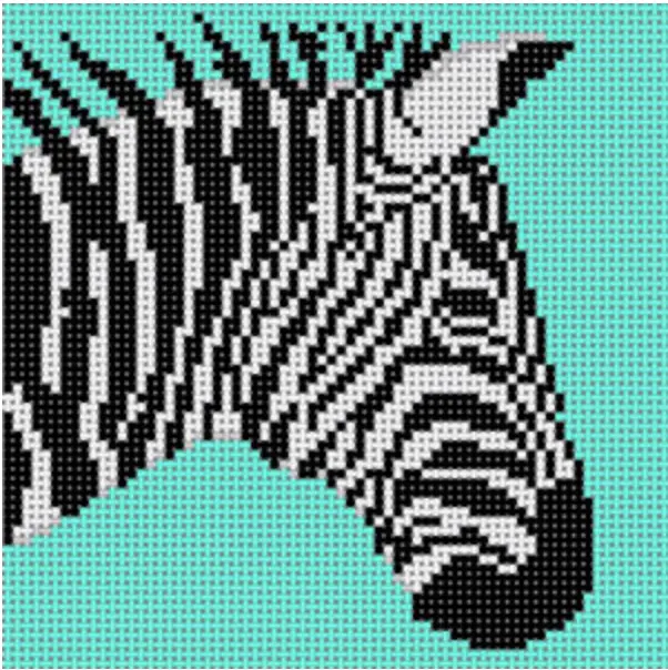 Co-46D Zebra On Teal 1