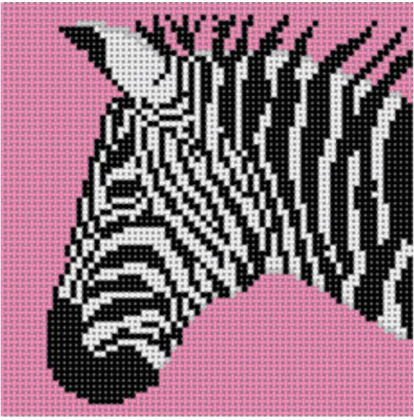 Co-46C Zebra On Pink 1
