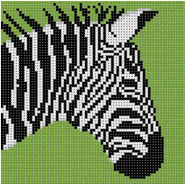 Co-46B Zebra On Green 1