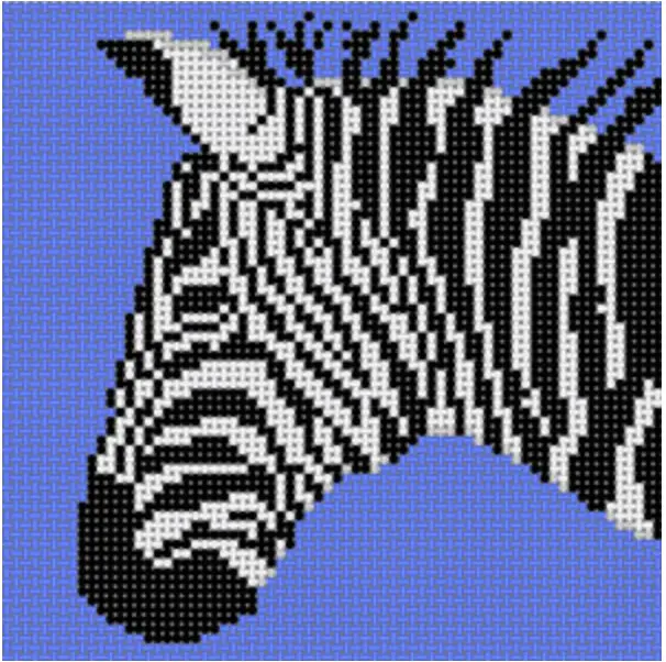 Co-46A Zebra On Blue 1