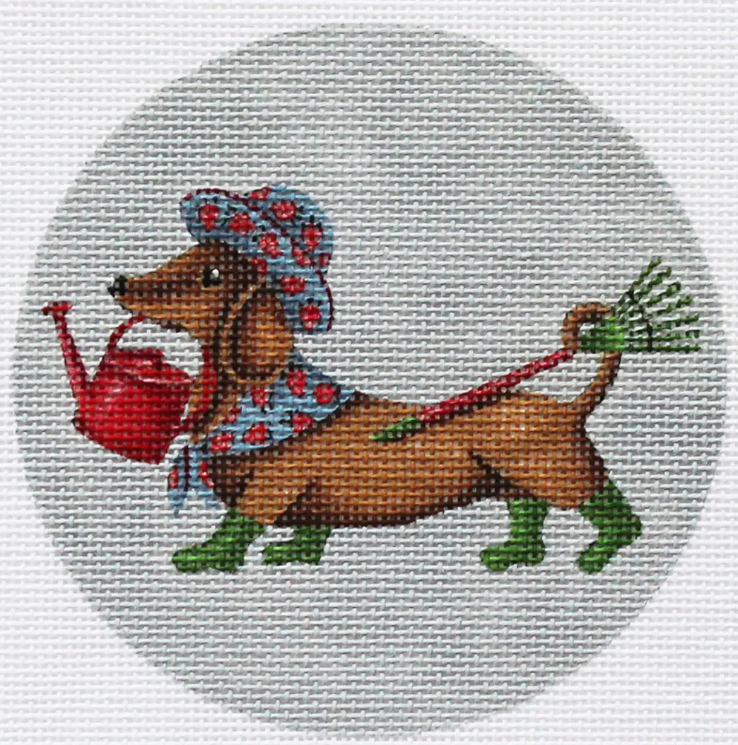 Ds1118 Spring Dachshund 1