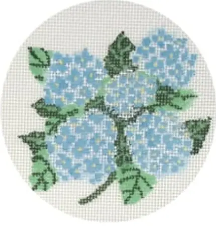 Lm-Xo53 Hydrangea 1