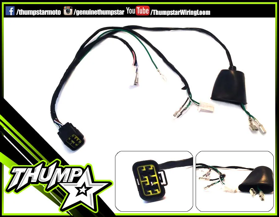 7541 | Wiring Loom | 8 Pin | High Rev 125/140/160 1