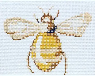 Dg-1K-7 Scarab Beetle - Yellow 1