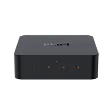 Wiim Pro Networked Steamer 1