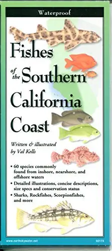 Fishes Of The Southern California Coast 1