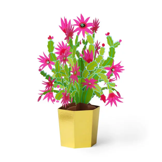 Pop-Up Holiday Card: Christmas Cactus 1