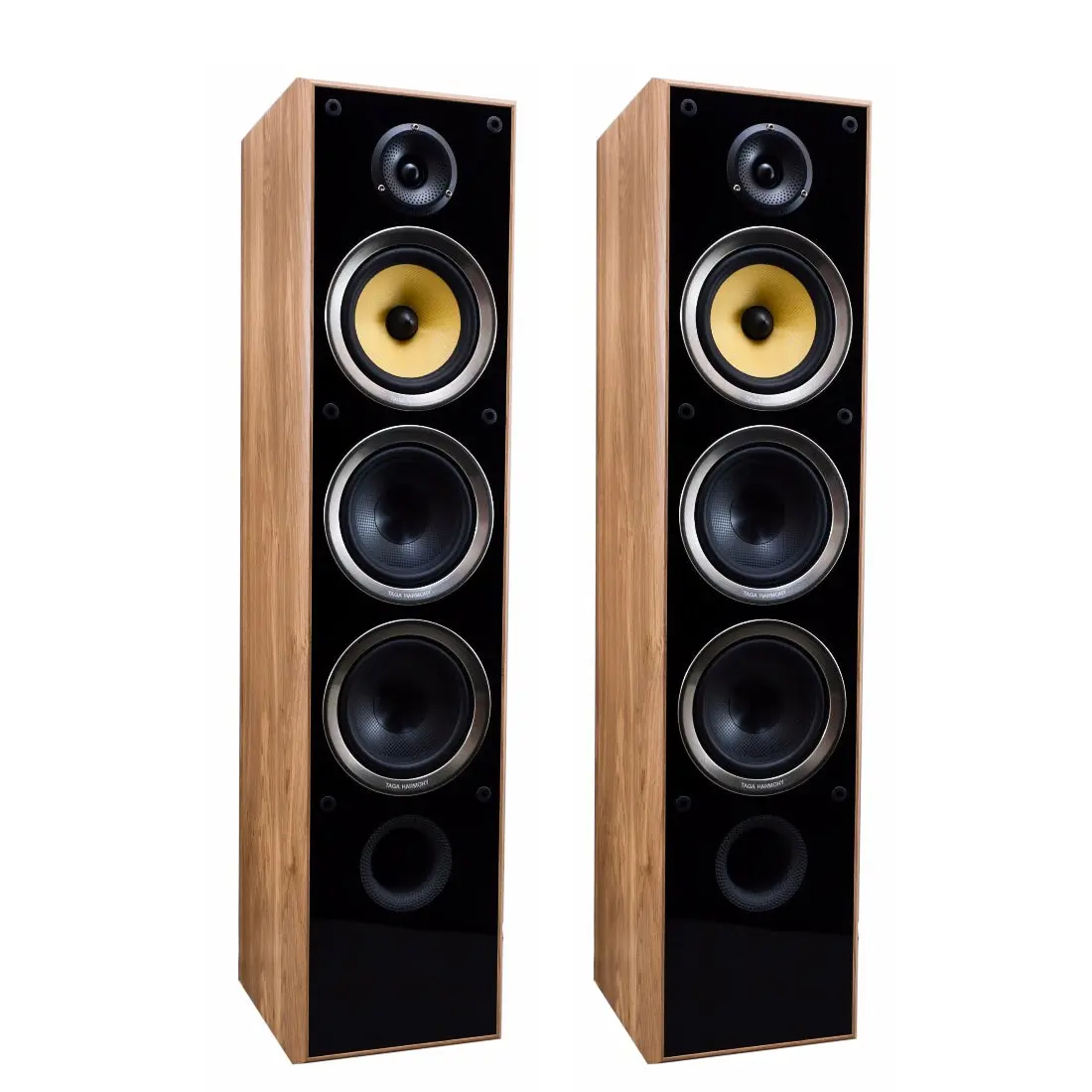 Taga Harmony Tav-616F | Floorstanding Speakers 1