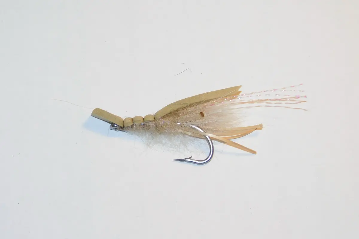 Disco Shrimp, Size #2 1