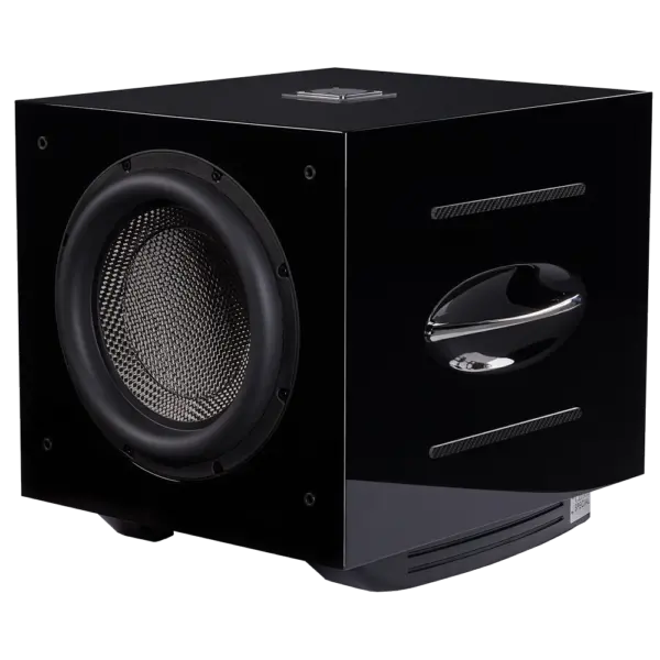 Rel Acoustics Carbon Special Passive Subwoofer 1
