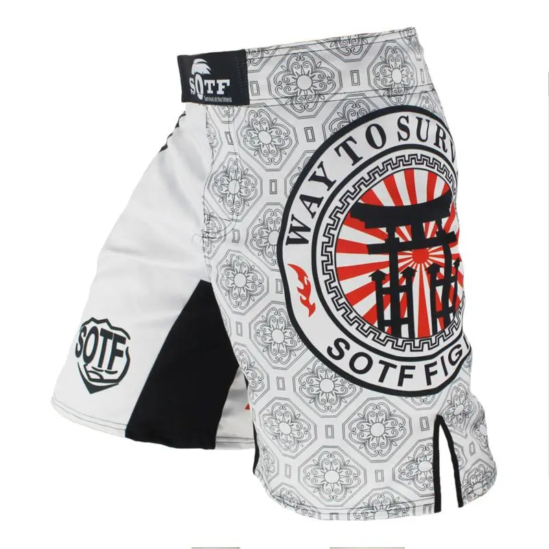 Men's Fitness Sport Shorts 2