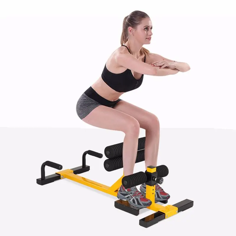 3-In-1 Sissy Squat Push Up Ab Workout 2